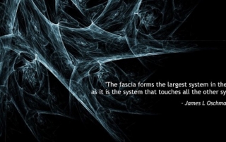Fascia