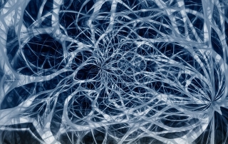 nerves-4524910_640