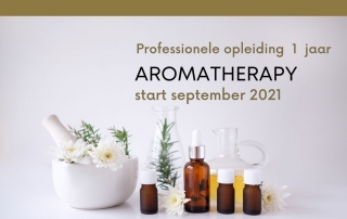 Professionele opleiding - The (He)Art of Aromatherapy