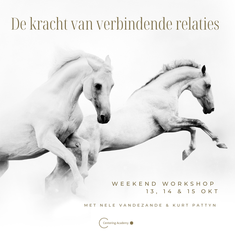 weekend workshop verbindende relaties